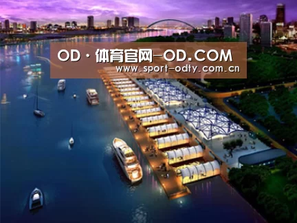 案例展示八(图1) 案例展示八(图1)