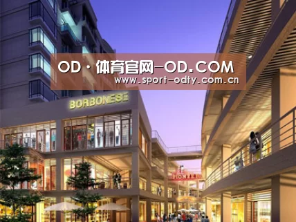 案例展示一(图1) 案例展示一(图1)