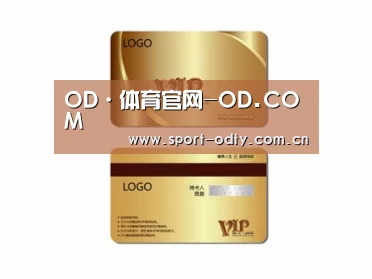 项目名称三
