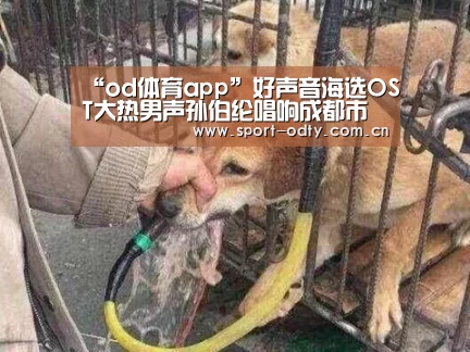 “od体育app”好声音海选OST大热男声孙伯纶唱响成都市歌(图1) od体育app