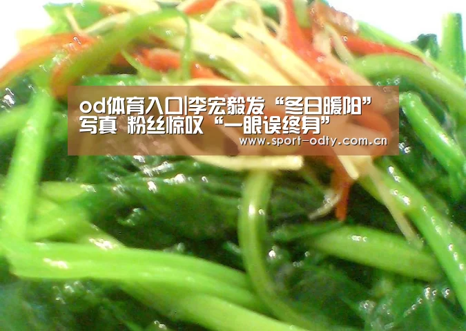 od体育入口