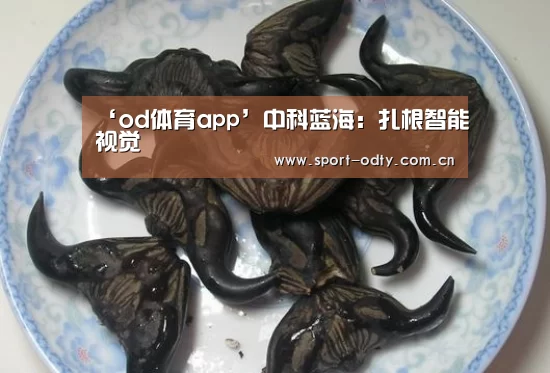 od体育app